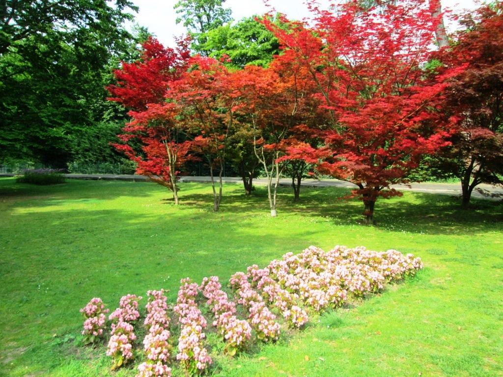 Il Parco giardino Sigurtà è un parco naturalistico di 60 ettari situato a Valeggio sul Mincio, in provincia di Verona, a 8 km da Peschiera del Garda 3